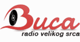 Radio Buca Novi Sad Uzivo