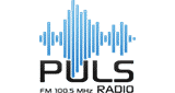 Puls Radio Negotino Online