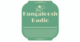 Kungaloosh Radio
