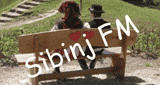 Radio Sibinj Hits FM Online
